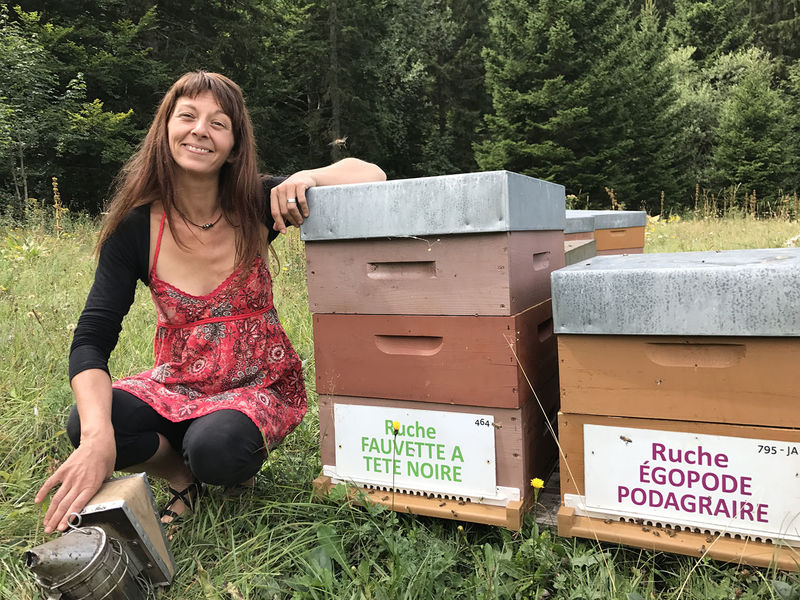 La ruche Égopode podagraire