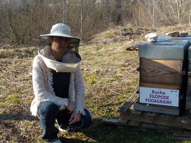 La ruche Égopode podagraire