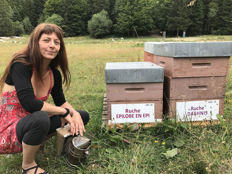 La ruche Épilobe en épi