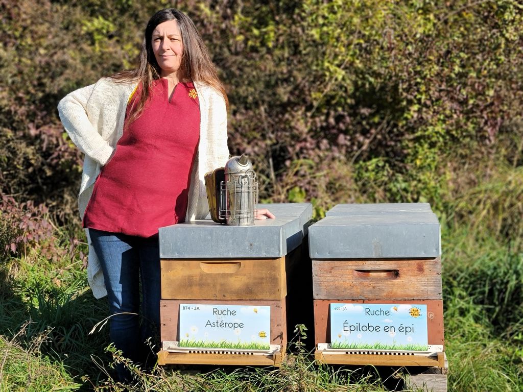 La ruche Épilobe en épi