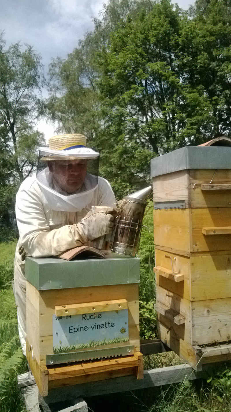 La ruche Epine-vinette