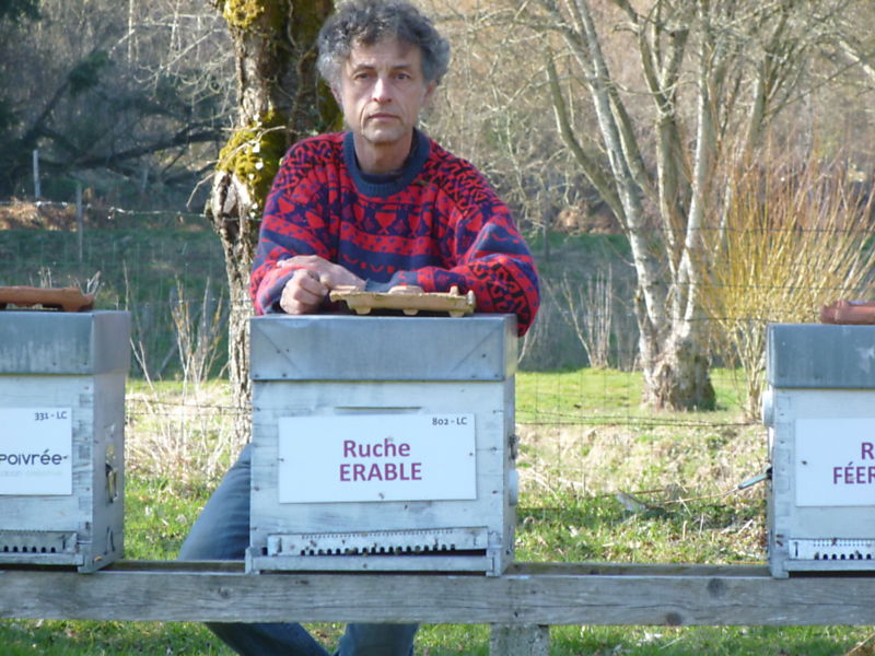 La ruche Erable