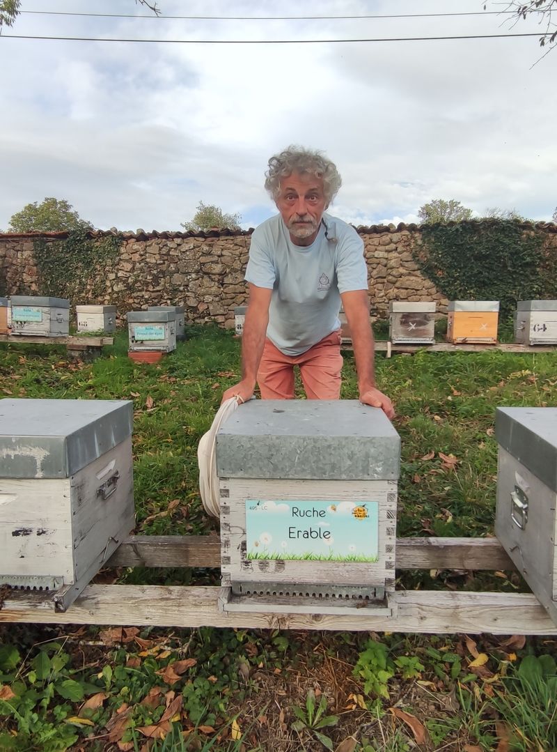 La ruche Erable