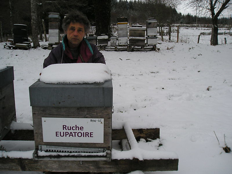La ruche Eupatoire