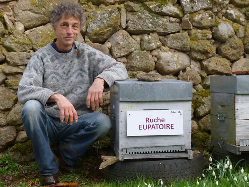 La ruche Eupatoire