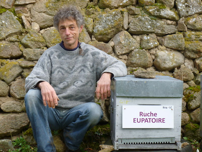 La ruche Eupatoire