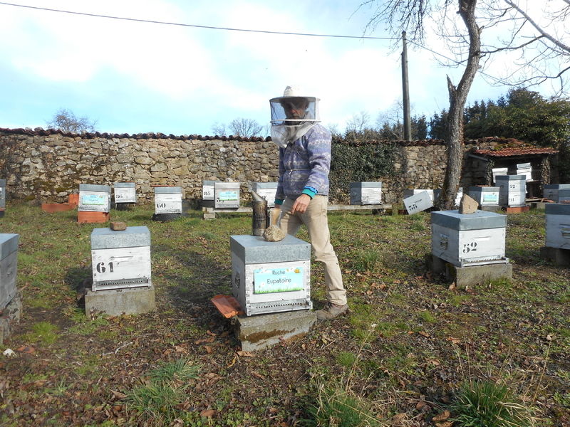 La ruche Eupatoire