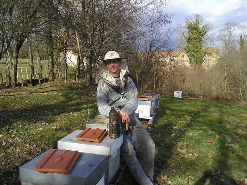 La ruche Euphorbe reveille-matin