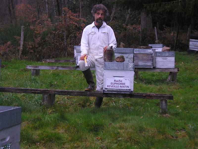 La ruche Euphorbe reveille-matin