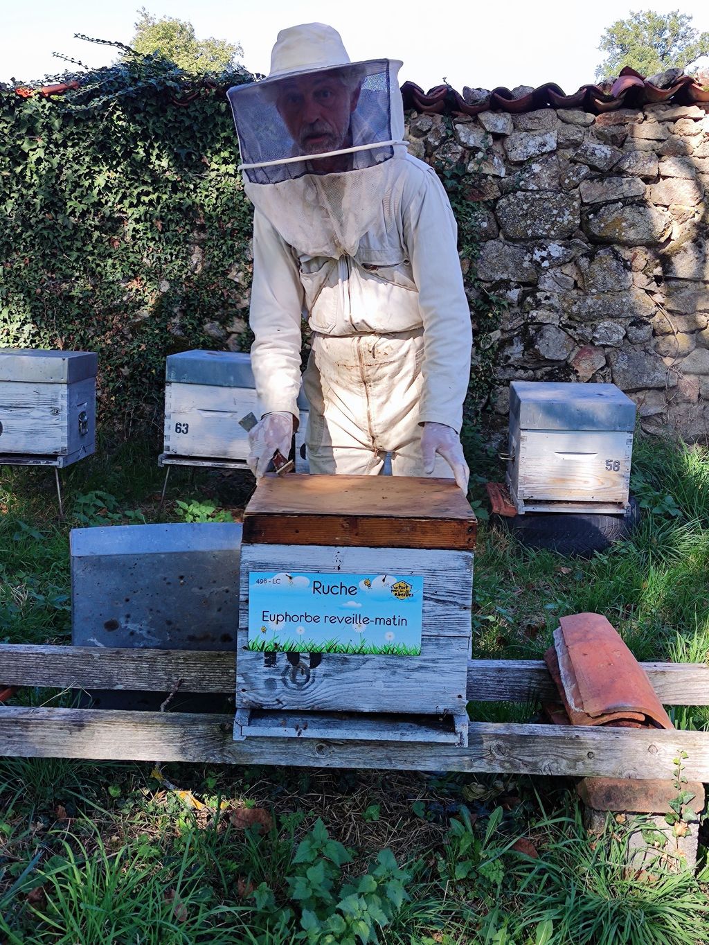 La ruche Euphorbe reveille-matin