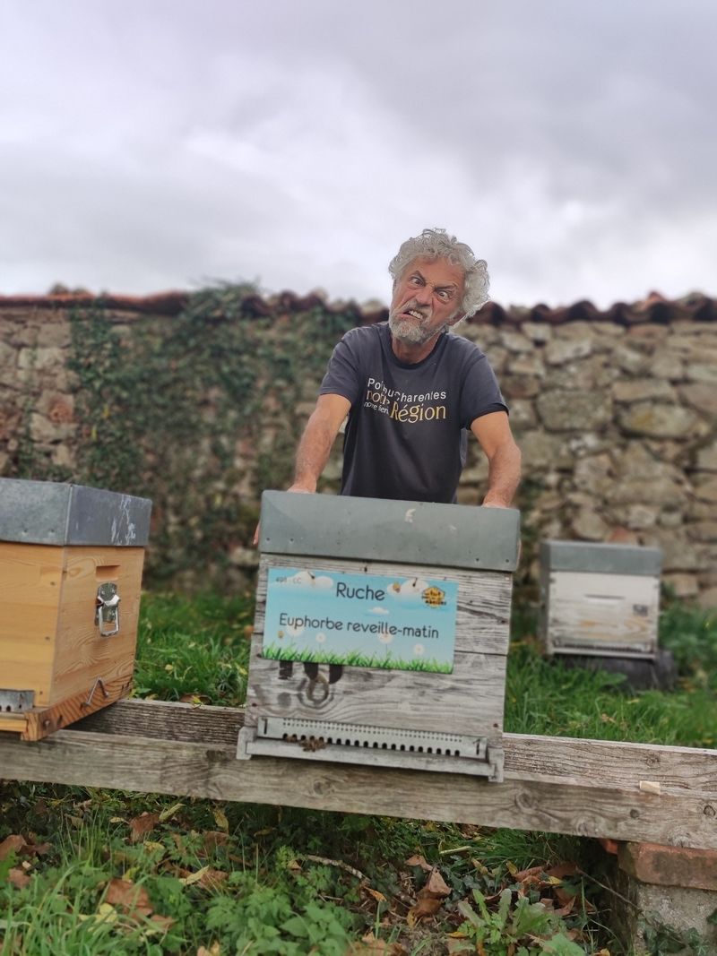 La ruche Euphorbe reveille-matin