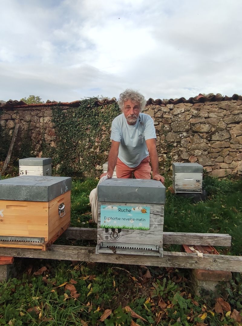 La ruche Euphorbe reveille-matin