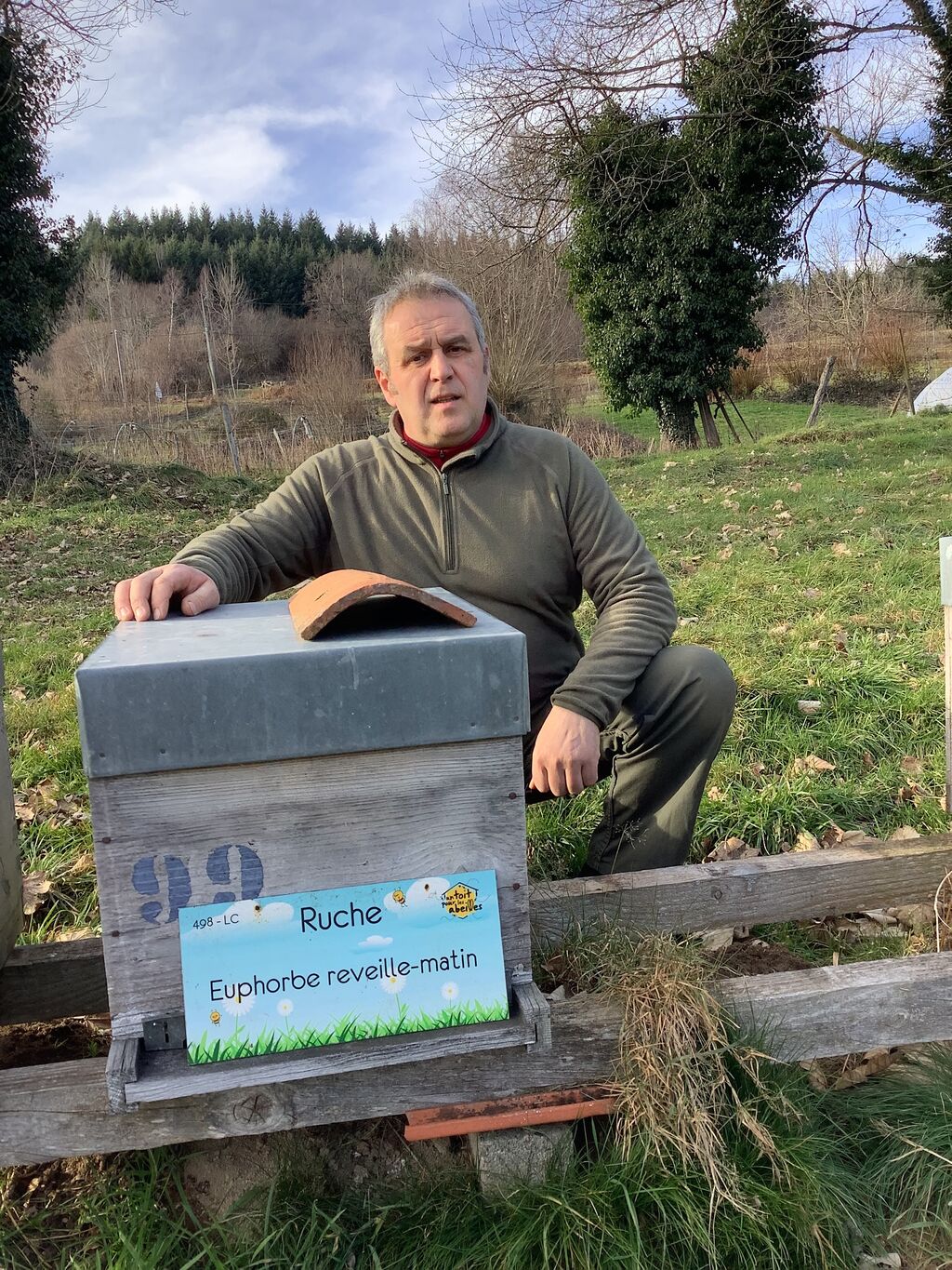 La ruche Euphorbe reveille-matin