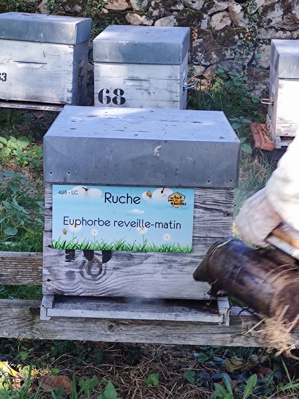 La ruche Euphorbe reveille-matin