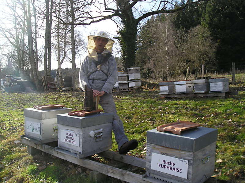 La ruche Euphraise