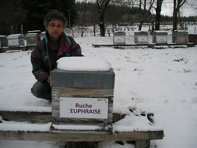 La ruche Euphraise
