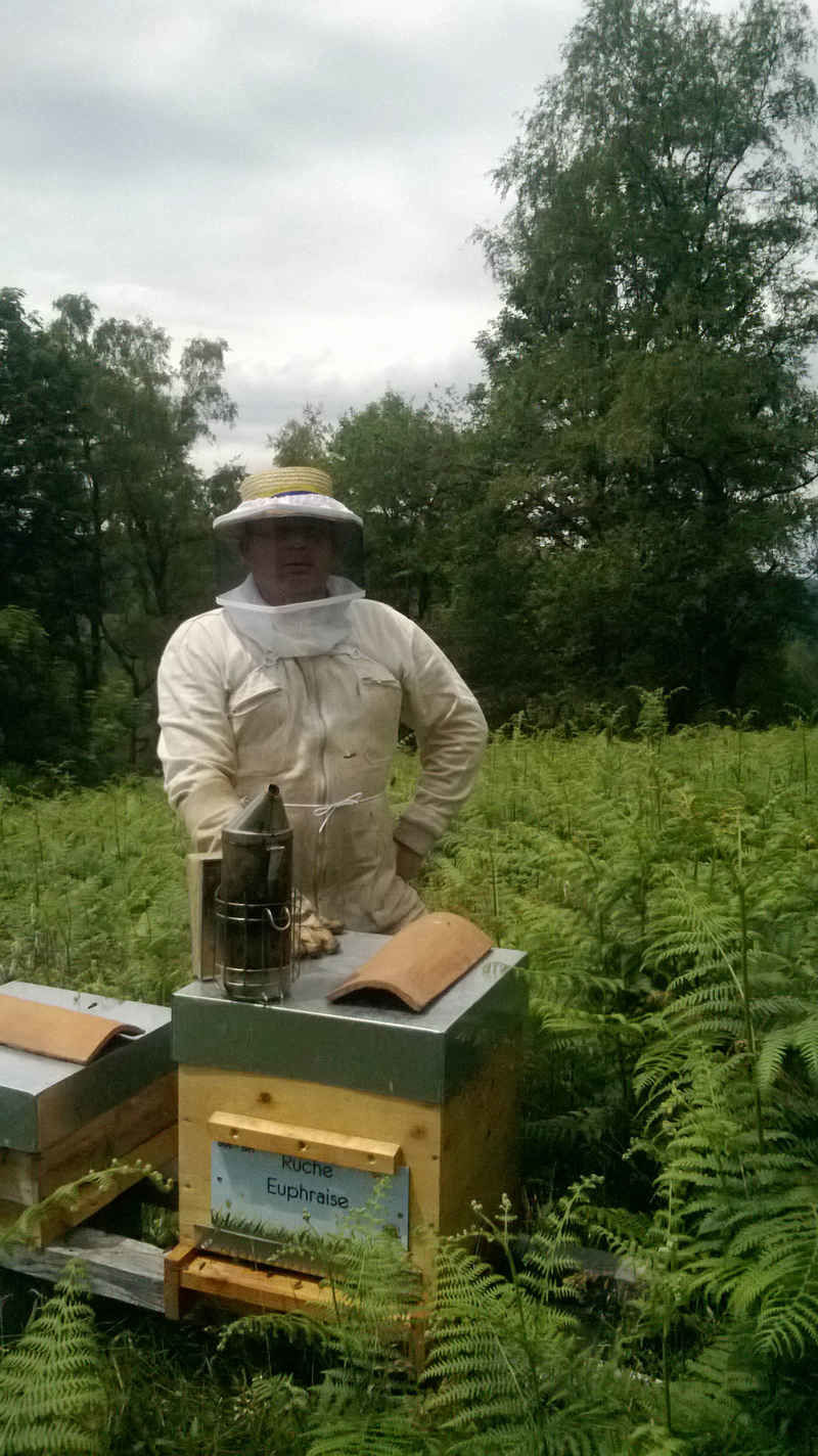 La ruche Euphraise
