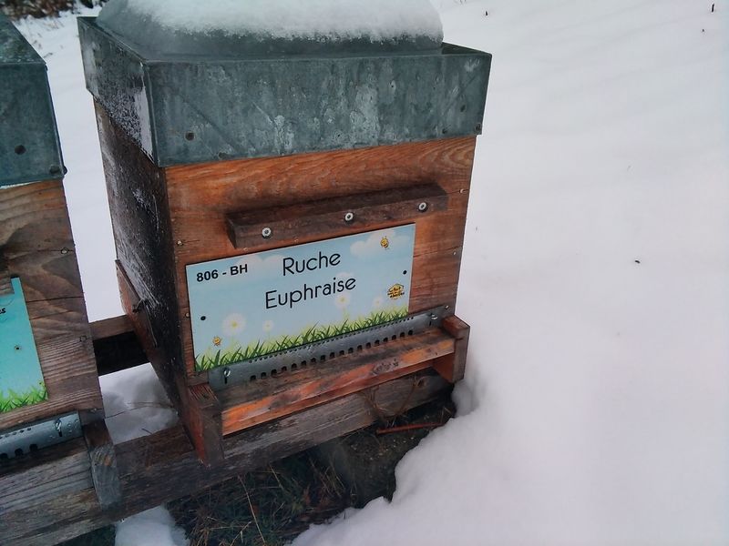 La ruche