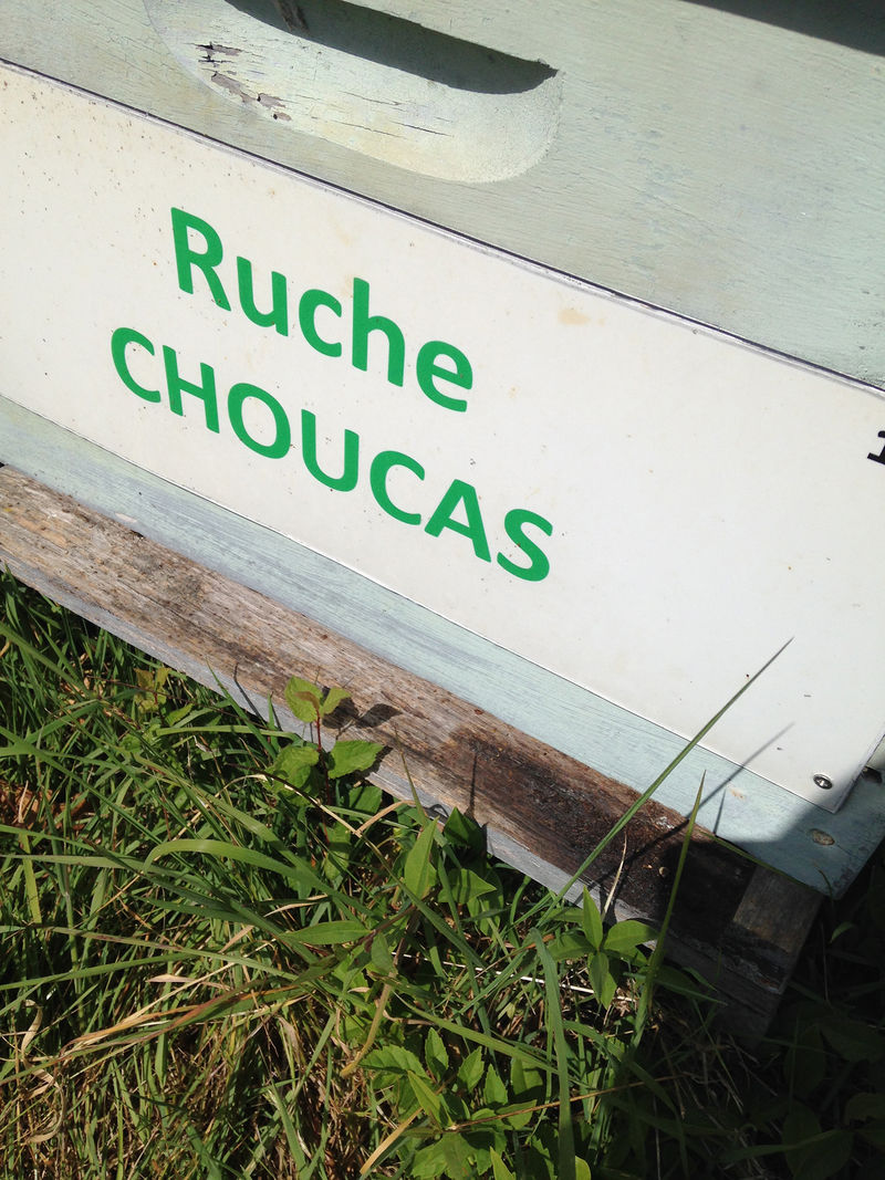La ruche