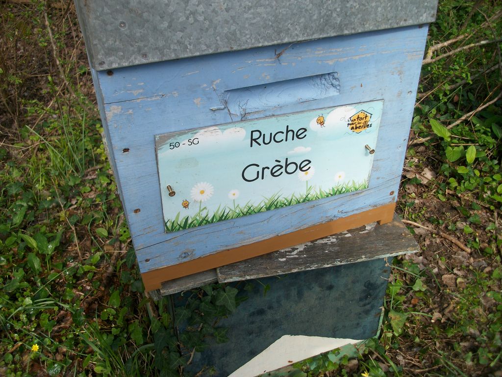 La ruche