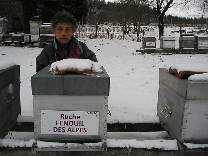 La ruche Fenouil des alpes