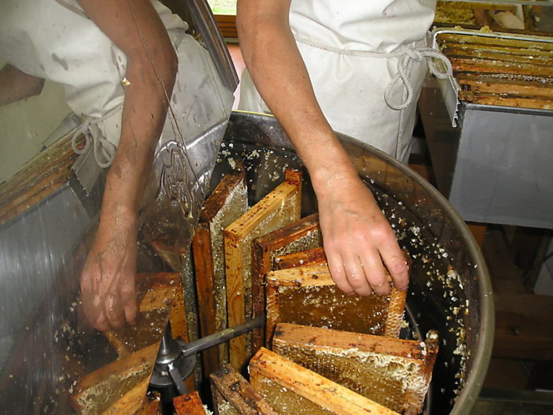La ruche Fenouil des alpes