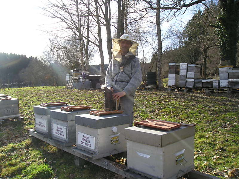 La ruche Fenouil des alpes
