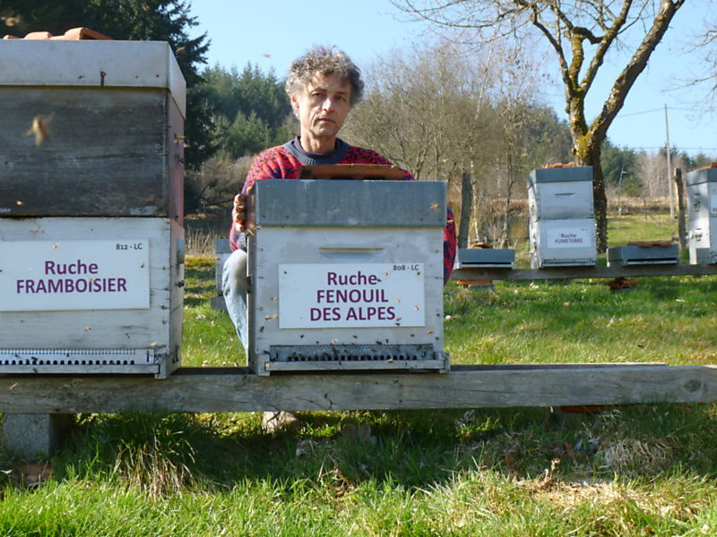 La ruche Fenouil des alpes