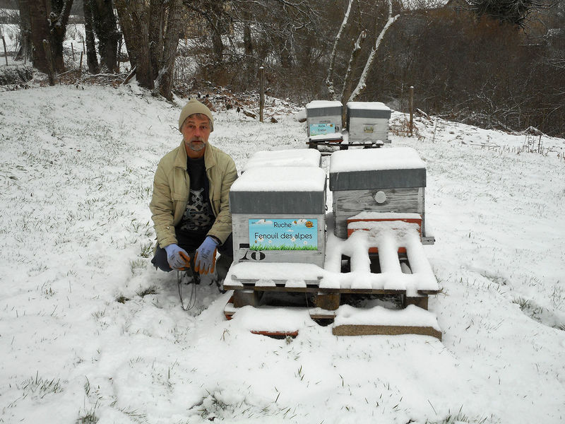 La ruche Fenouil des alpes