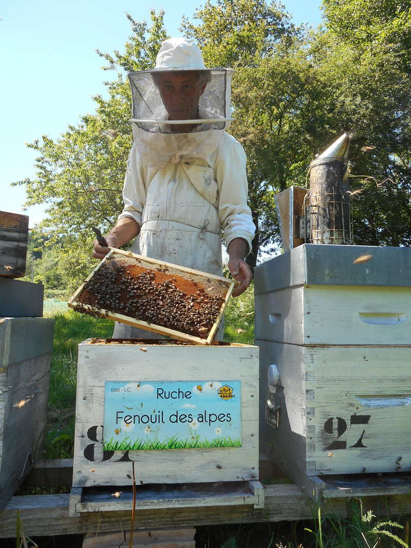 La ruche Fenouil des alpes