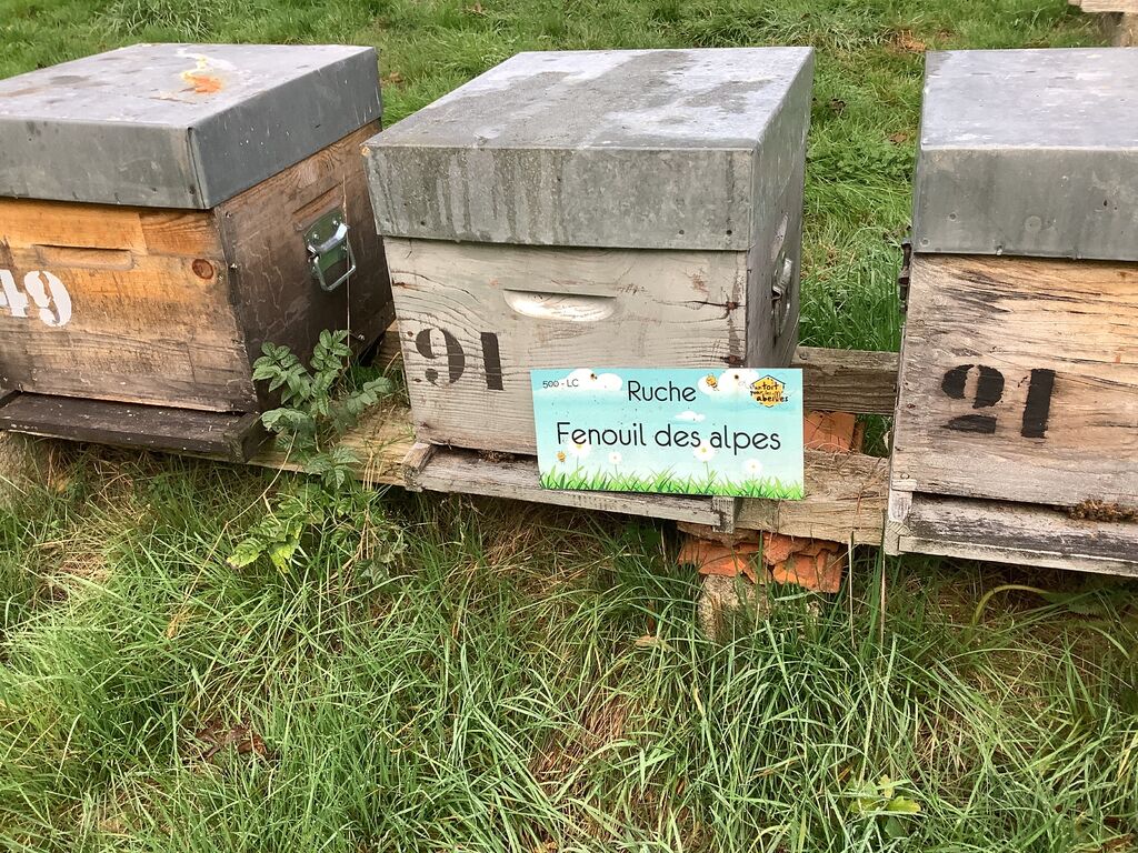 La ruche Fenouil des alpes