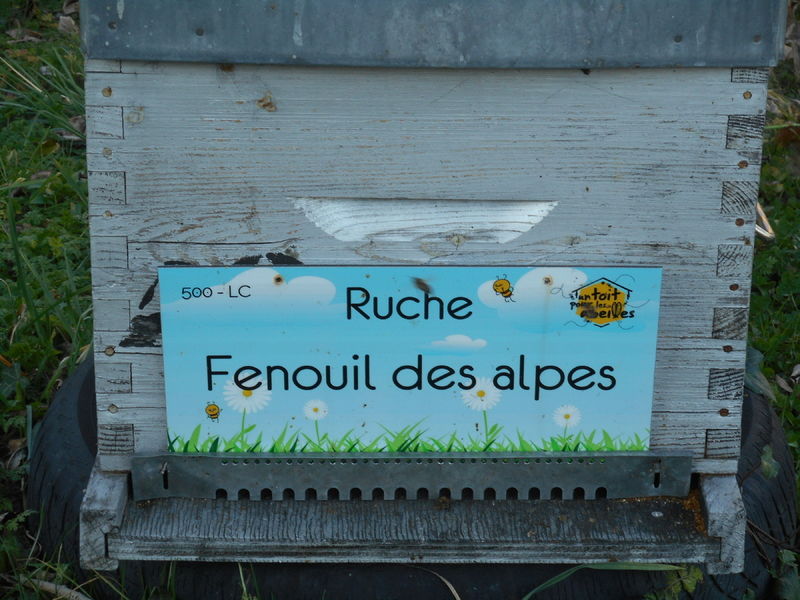 La ruche Fenouil des alpes