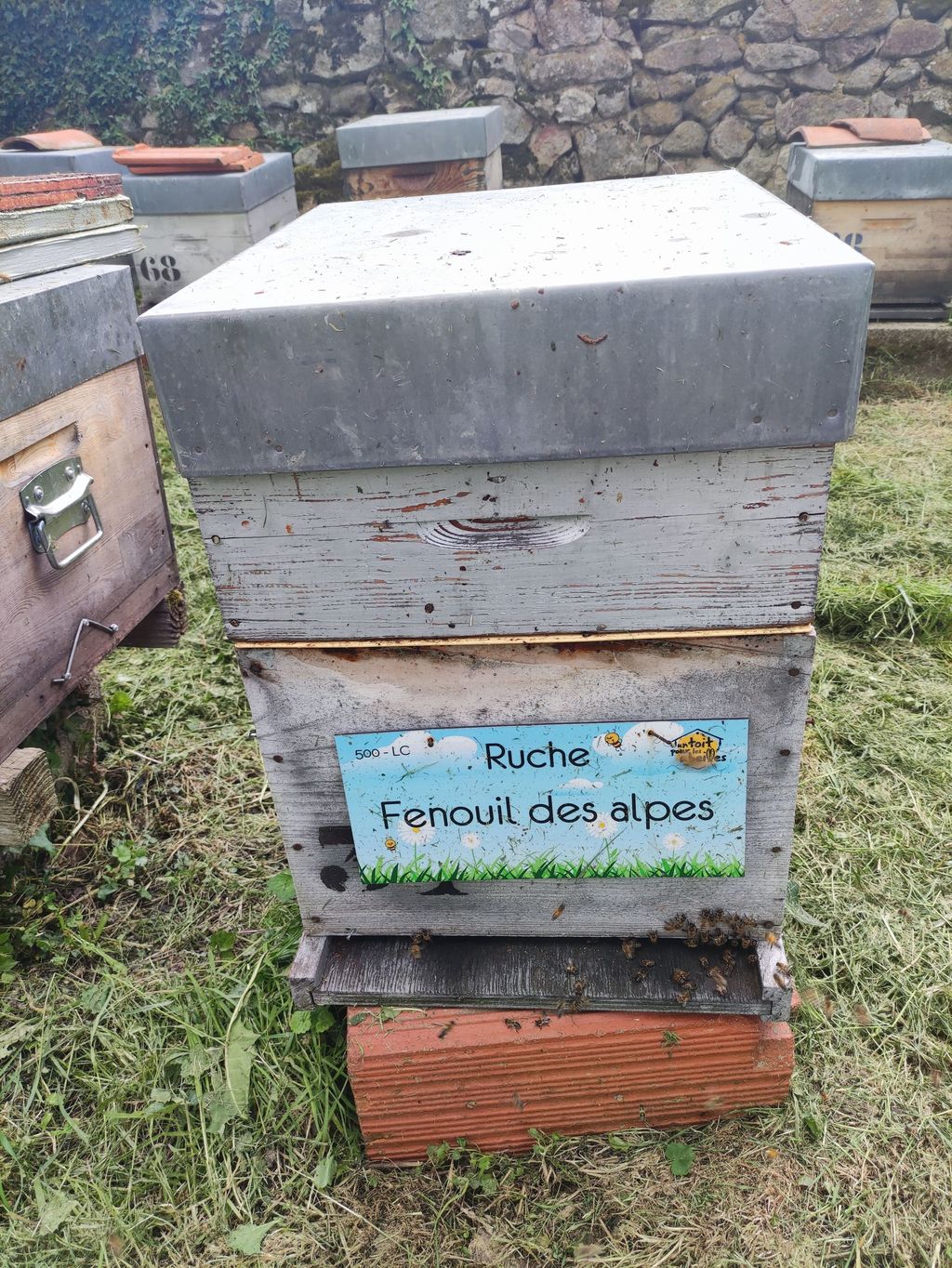 La ruche Fenouil des alpes
