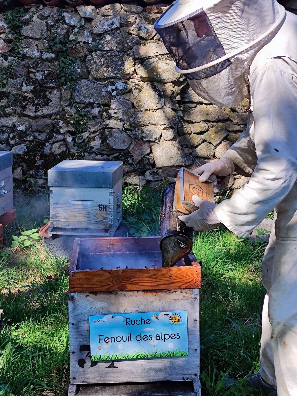 La ruche Fenouil des alpes