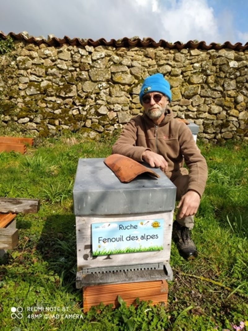 La ruche Fenouil des alpes