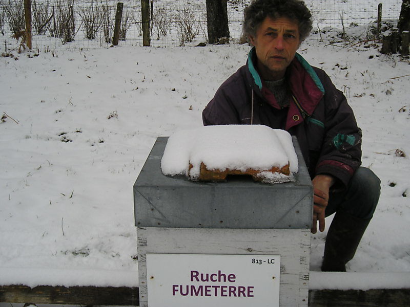 La ruche Fumeterre