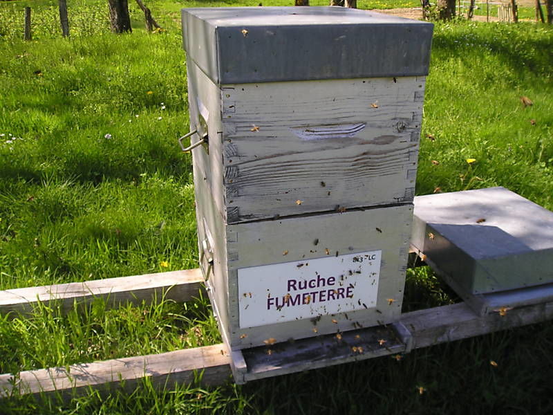 La ruche Fumeterre