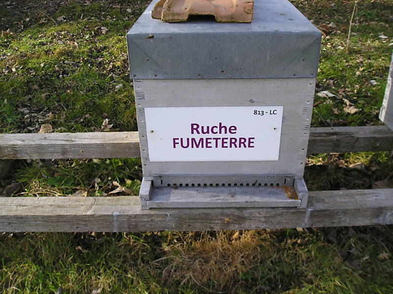 La ruche Fumeterre