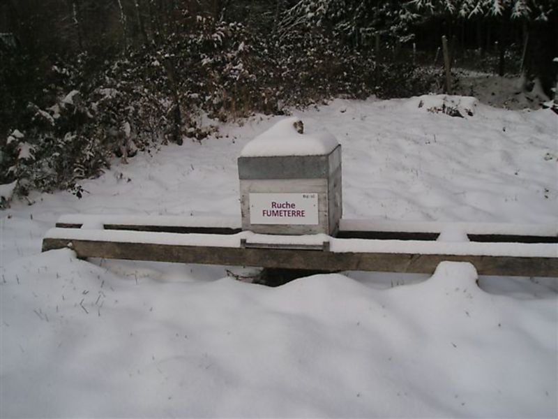 La ruche Fumeterre