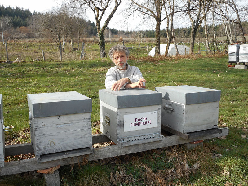 La ruche Fumeterre