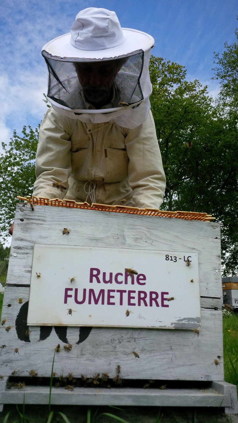 La ruche Fumeterre