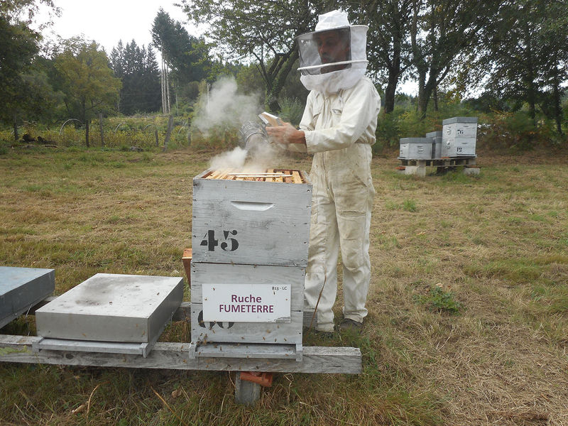 La ruche Fumeterre