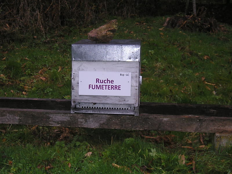 La ruche Fumeterre