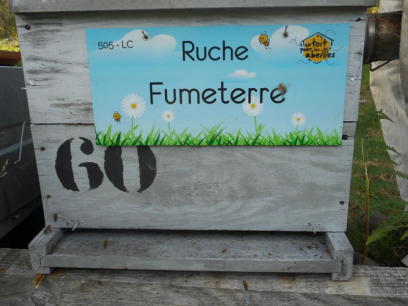 La ruche Fumeterre