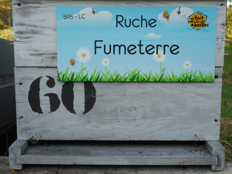La ruche Fumeterre