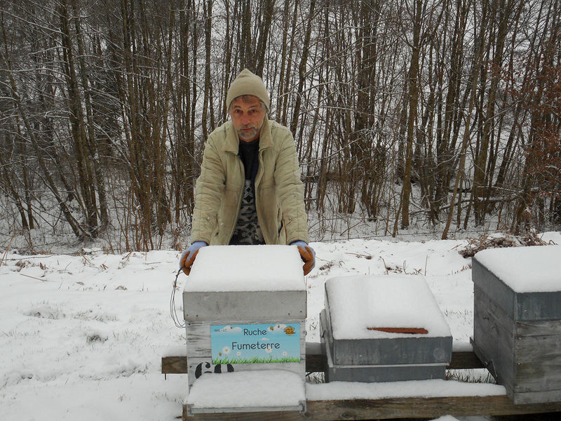 La ruche Fumeterre