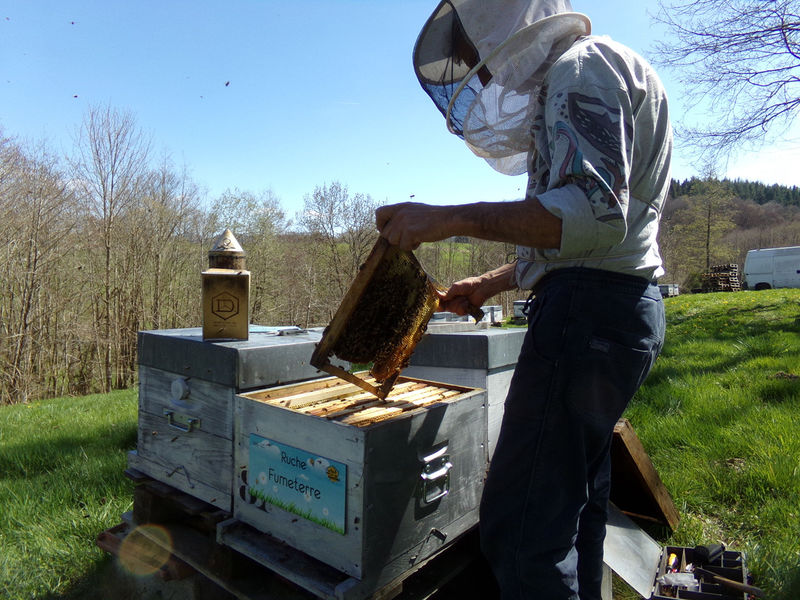 La ruche Fumeterre