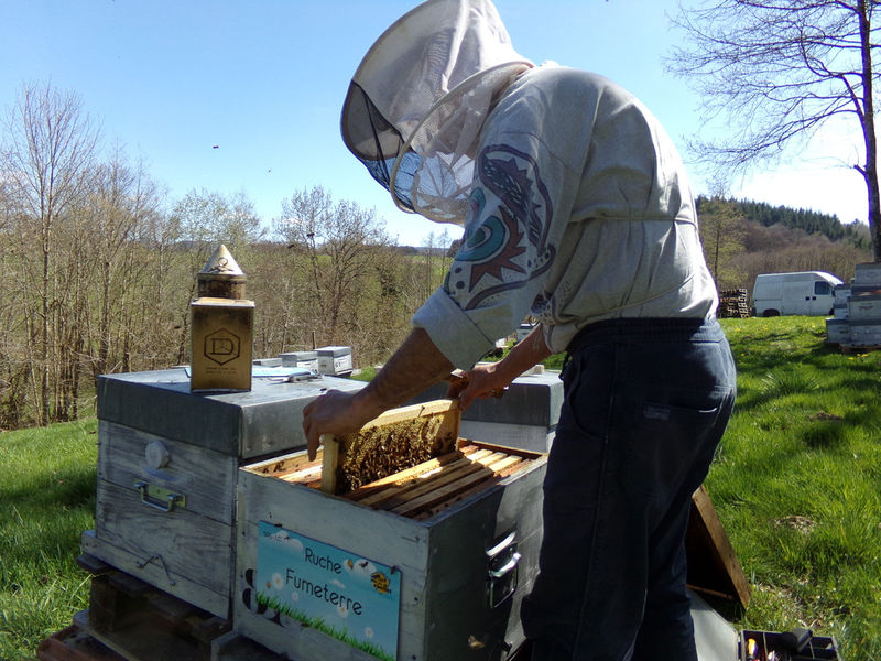 La ruche Fumeterre