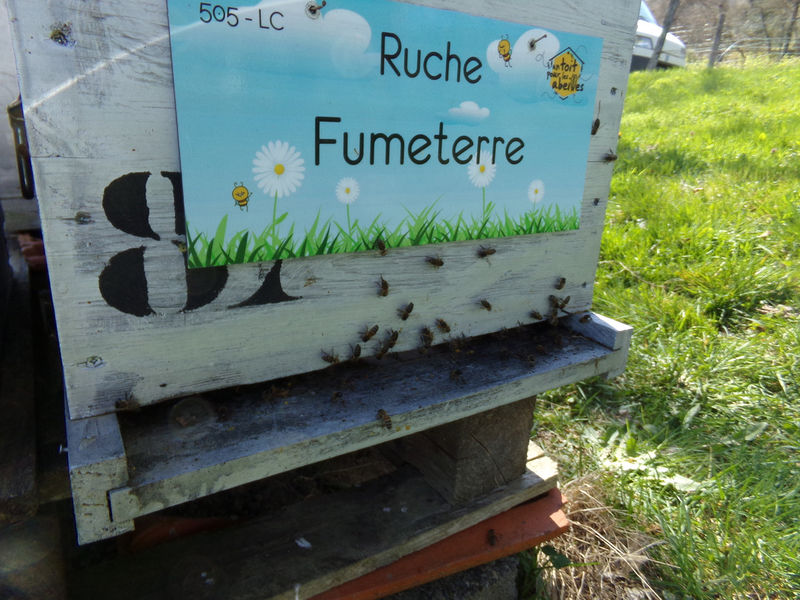 La ruche Fumeterre
