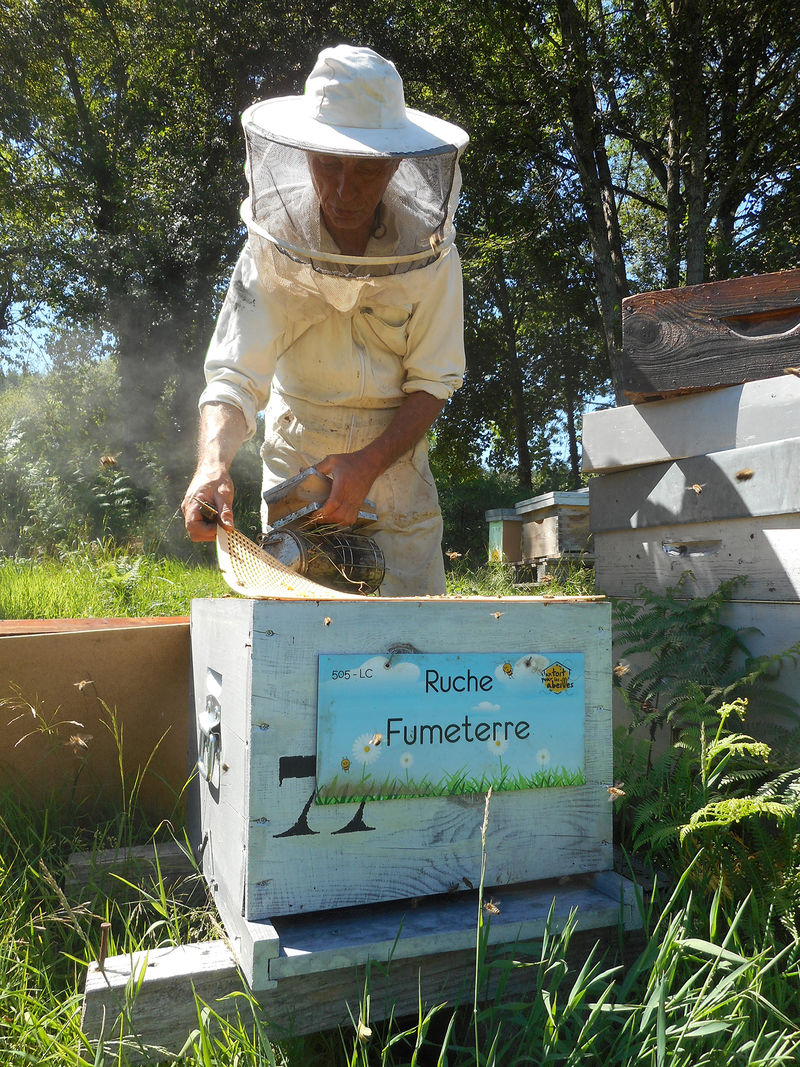 La ruche Fumeterre